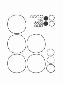 Set of shaft seals RE/RZ 8/9/16